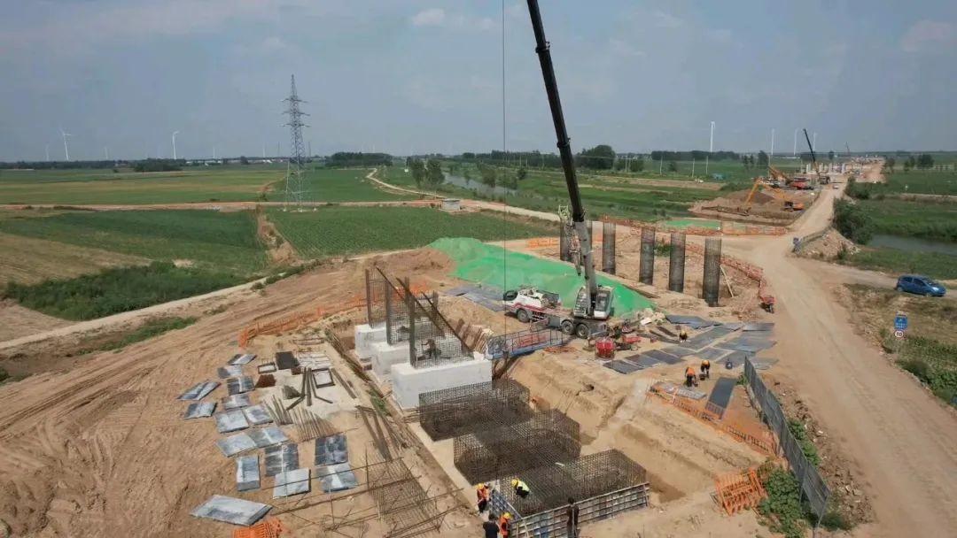 【項目負責人說】董磊：敢挑重擔 踔厲奮發