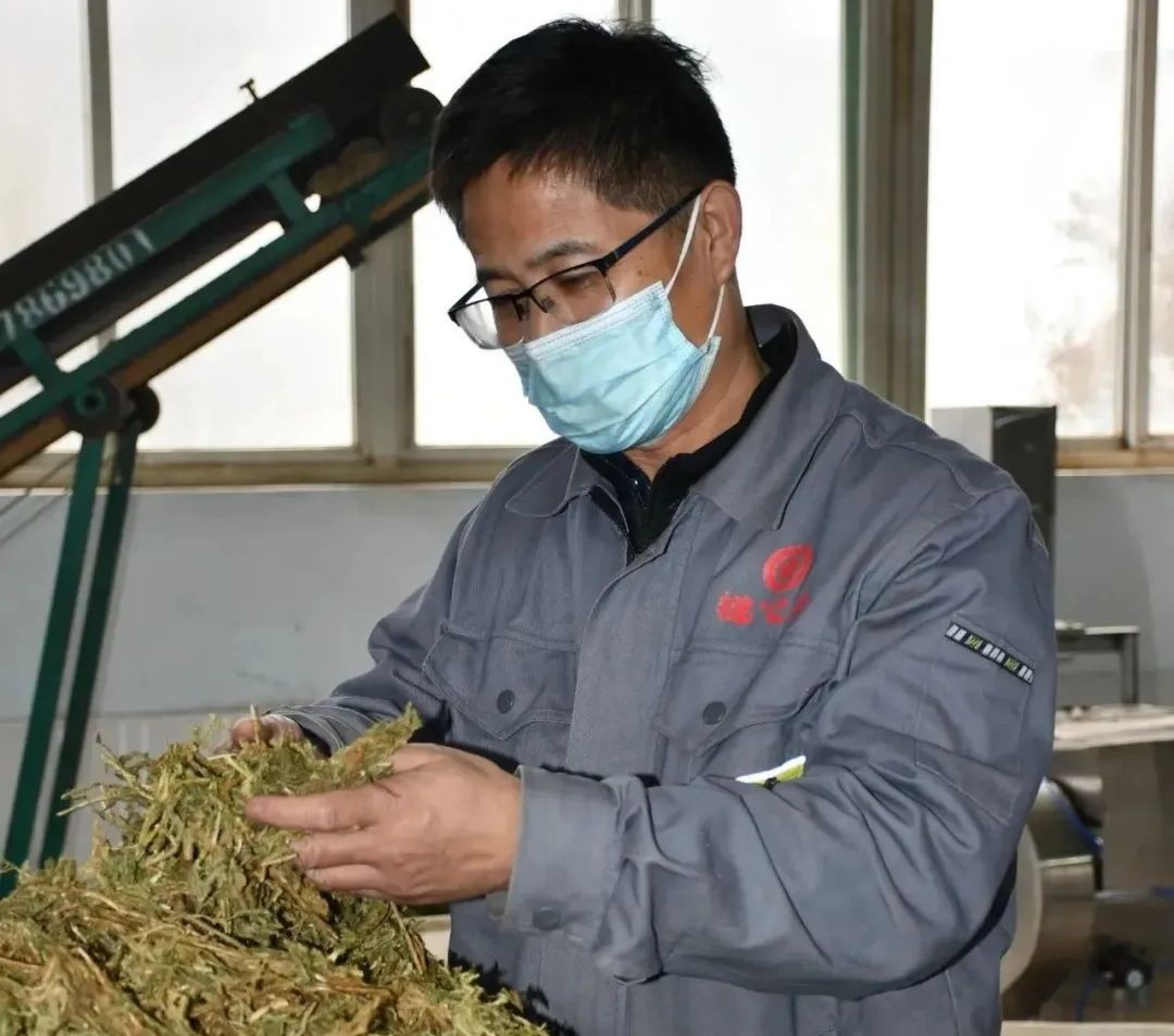 【向下扎根，向上生長】孫吉民：20年堅持做一件事